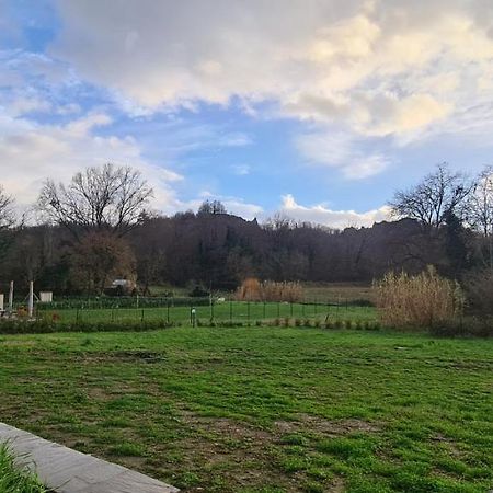 Villa Azzurra Immersa Nel Verde Tra Firenze, Arezzo E Siena Террануова-Браччолини Экстерьер фото